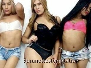 3brunettes_temptation