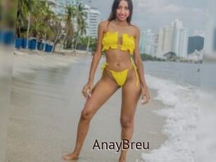 AnayBreu