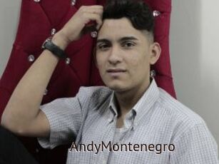 AndyMontenegro