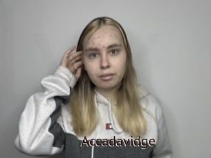 Accadavidge