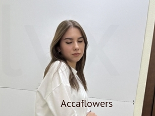 Accaflowers