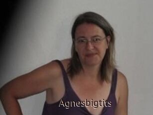 Agnesbigtits