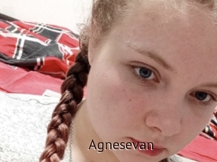 Agnesevan