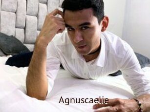 Agnuscaelie