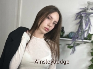 Ainsleybodge