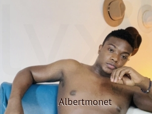 Albertmonet