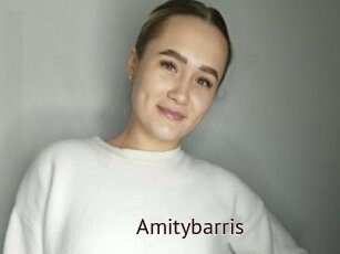 Amitybarris