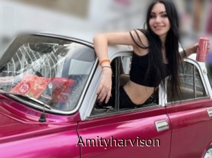 Amityharvison