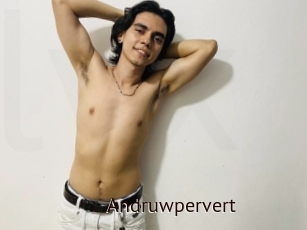 Andruwpervert