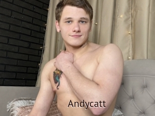 Andycatt