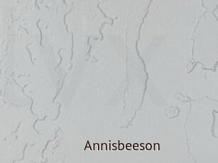 Annisbeeson