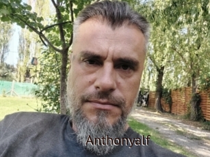 Anthonyalf