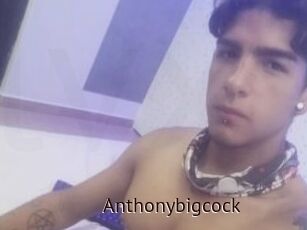 Anthonybigcock