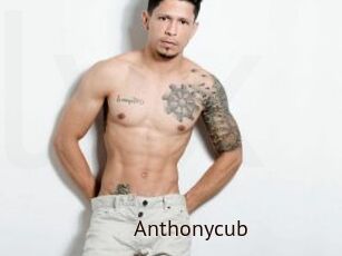 Anthonycub