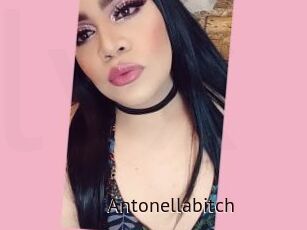 Antonellabitch