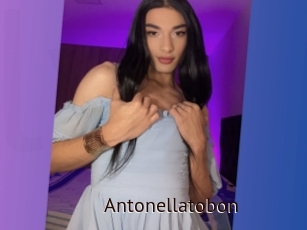 Antonellatobon