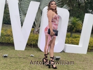 Antonellawilliam