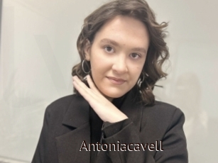 Antoniacavell