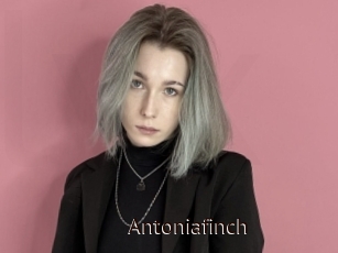 Antoniafinch