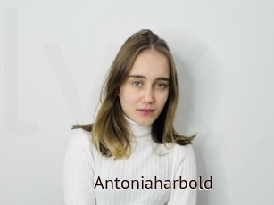 Antoniaharbold