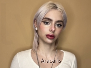 Aracaris