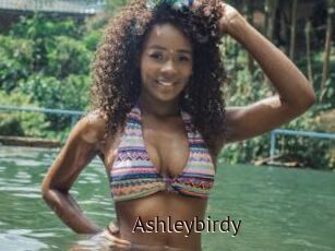 Ashleybirdy