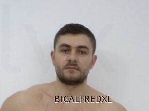 BIGALFREDXL