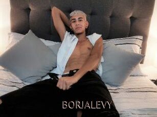 BORJALEVY