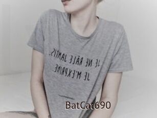 BatCat690