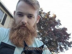 Beardedginger