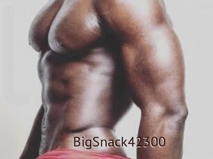 BigSnack42300