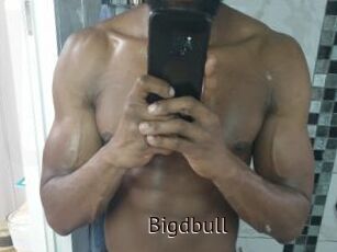 Bigdbull