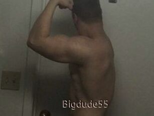 Bigdude55