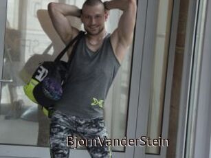 BjornVanderStein