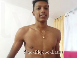 BlackBigCockLatin