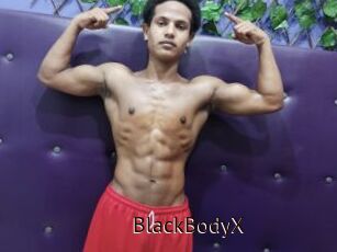 BlackBodyX