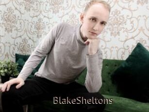 BlakeSheltons