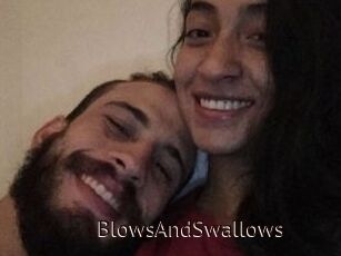 BlowsAndSwallows