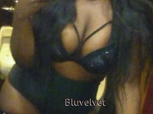 Bluvelvet