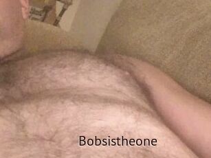 Bobsistheone