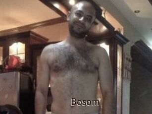 Bosom