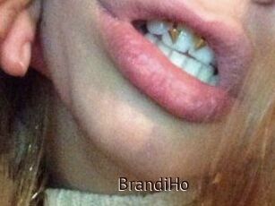 BrandiHo