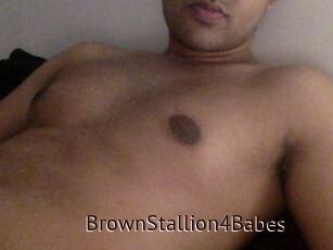 BrownStallion4Babes