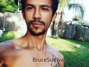 Bruce_Sullivan