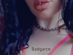 Badgarce