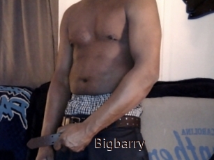 Bigbarry