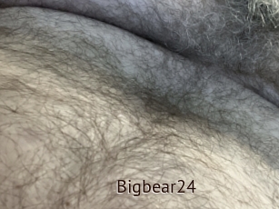 Bigbear24