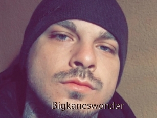 Bigkaneswonder