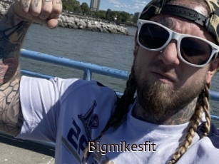 Bigmikesfit