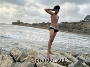 Brandonsgil